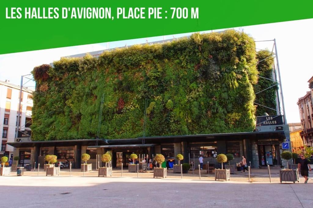 Aux Marches Du Palais - Ac Clim - Spacieux - Terrasse - Wifi Avignon Bagian luar foto