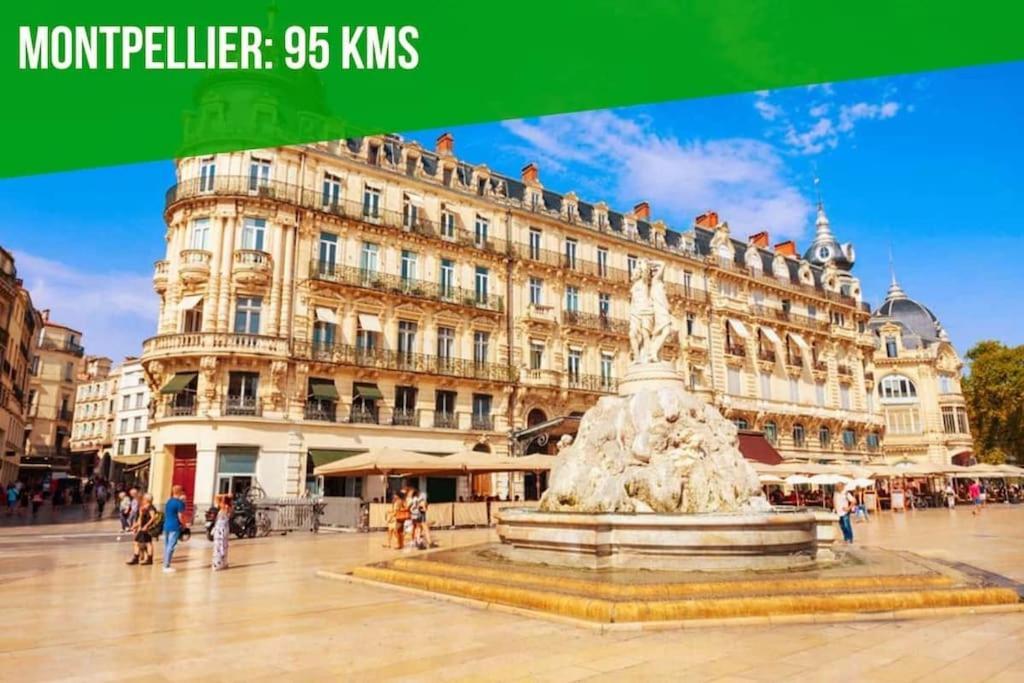 Aux Marches Du Palais - Ac Clim - Spacieux - Terrasse - Wifi Avignon Bagian luar foto